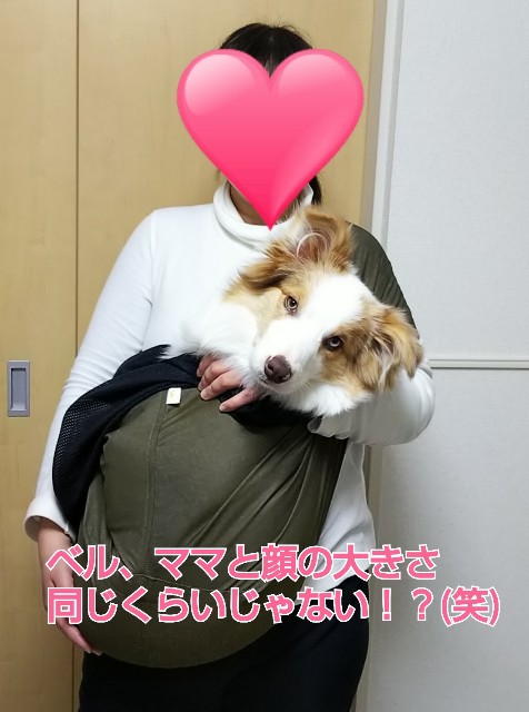 f:id:gussan-belle:20190214125427j:image f:id:gussan-belle:20190214125427j:image