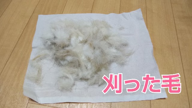 f:id:gussan-belle:20190217100902j:image