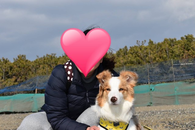 f:id:gussan-belle:20190224122804j:image