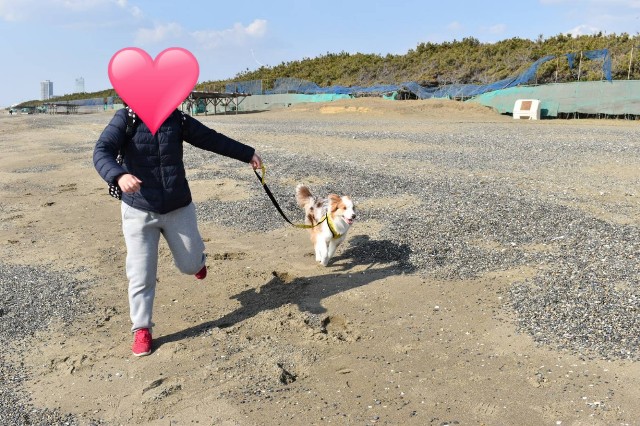f:id:gussan-belle:20190224122815j:image