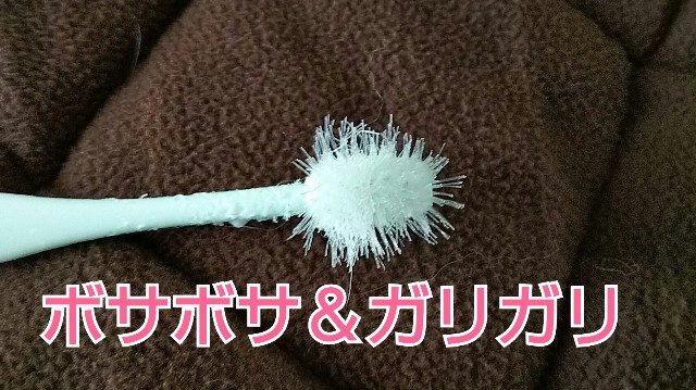 f:id:gussan-belle:20190225162252j:image