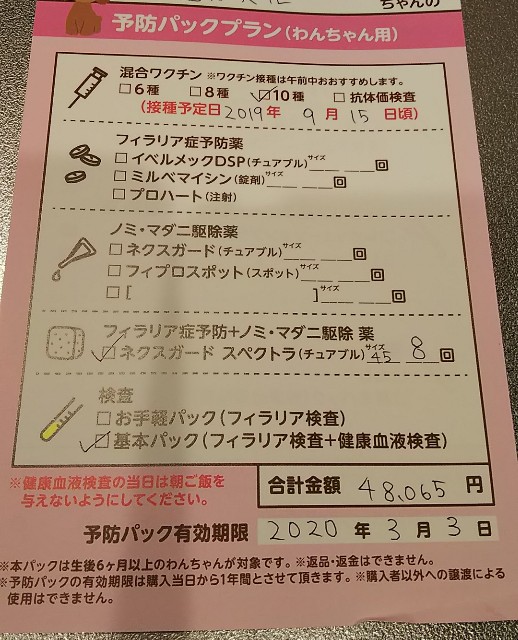 f:id:gussan-belle:20190305072252j:image