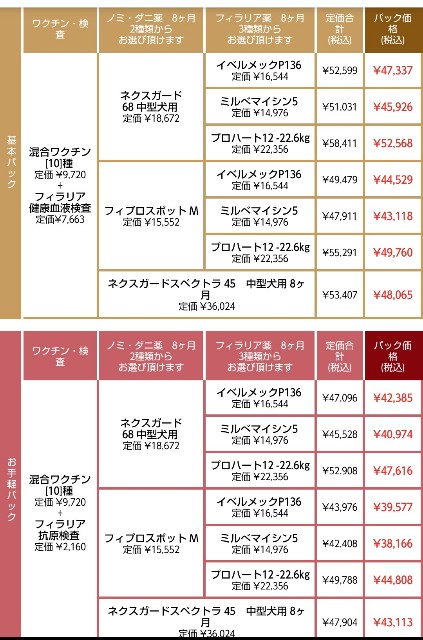 f:id:gussan-belle:20190305074233j:image