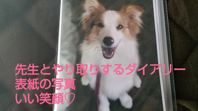 f:id:gussan-belle:20190320080616j:image f:id:gussan-belle:20190320080616j:image