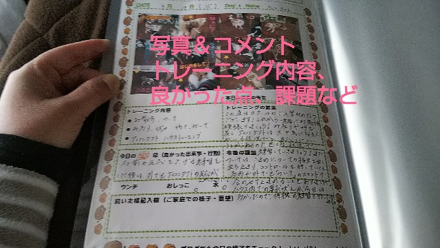 f:id:gussan-belle:20190320080629j:image f:id:gussan-belle:20190320080629j:image