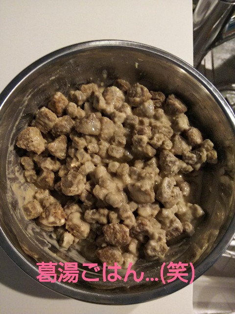 f:id:gussan-belle:20190324183911j:image