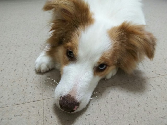 f:id:gussan-belle:20190329203824j:image f:id:gussan-belle:20190329203824j:image