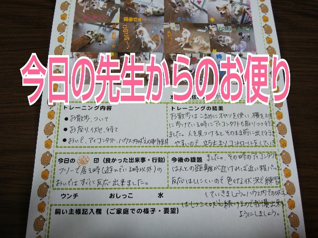 f:id:gussan-belle:20190329210846j:image f:id:gussan-belle:20190329210846j:image