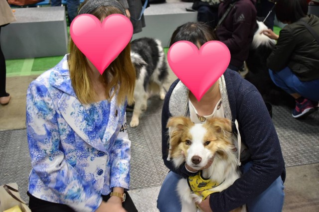 f:id:gussan-belle:20190330165208j:image