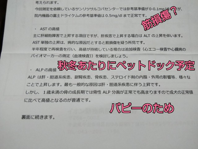 f:id:gussan-belle:20190404100754j:image