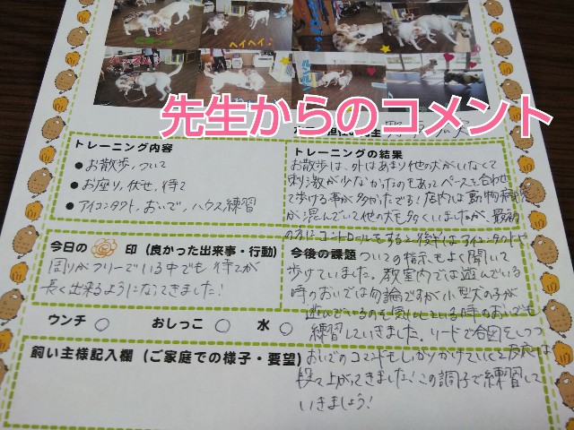 f:id:gussan-belle:20190418215159j:image