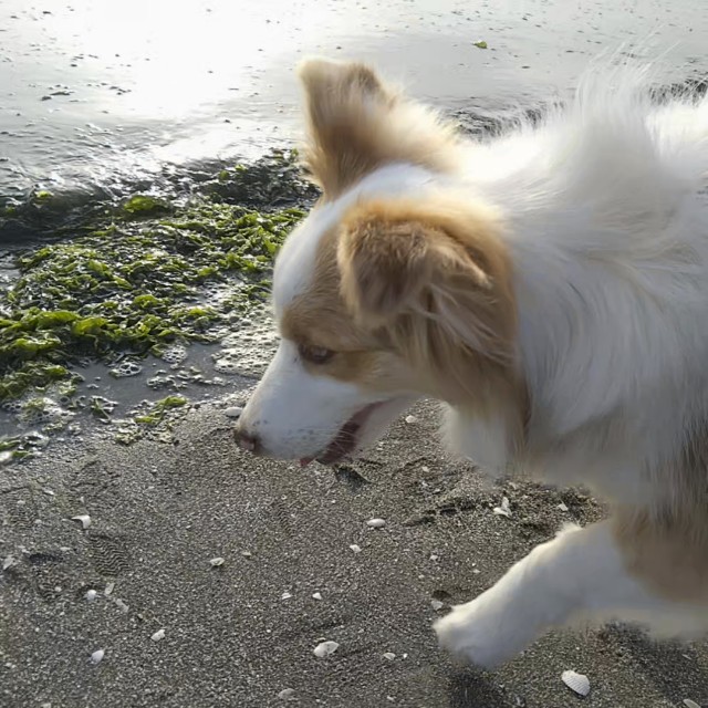 f:id:gussan-belle:20190423192645j:image f:id:gussan-belle:20190423192645j:image