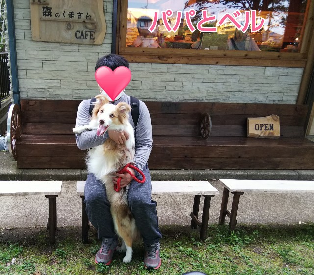 f:id:gussan-belle:20190507113705j:image