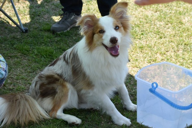 f:id:gussan-belle:20190512083155j:image