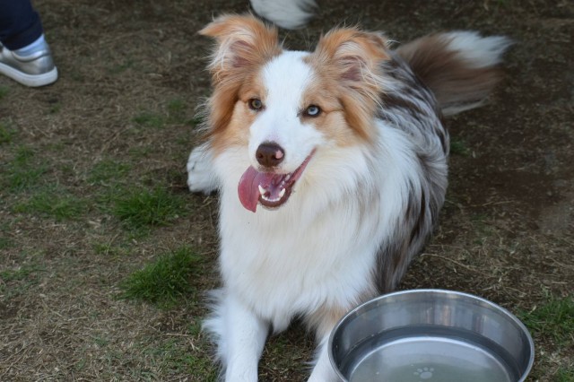 f:id:gussan-belle:20190512083236j:image