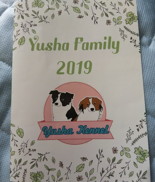 f:id:gussan-belle:20190512083925j:image