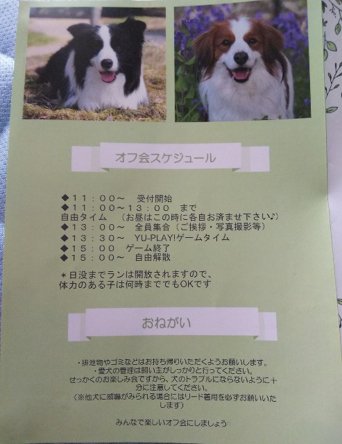 f:id:gussan-belle:20190512083935j:image