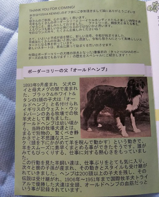 f:id:gussan-belle:20190512083945j:image