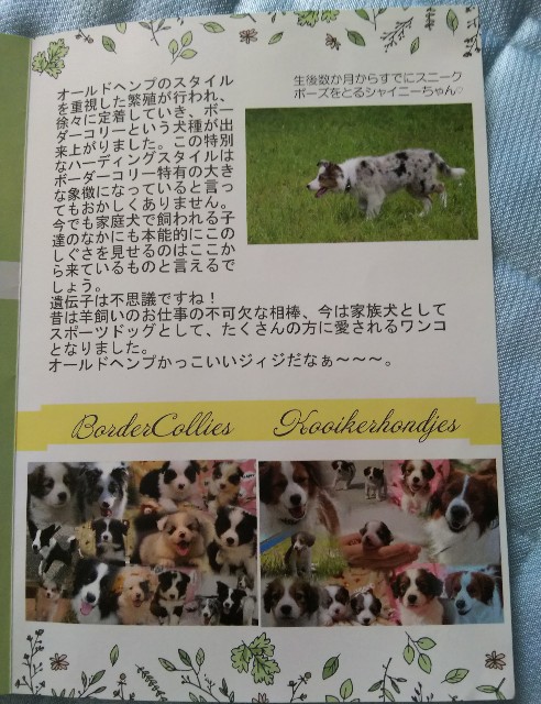 f:id:gussan-belle:20190512083955j:image