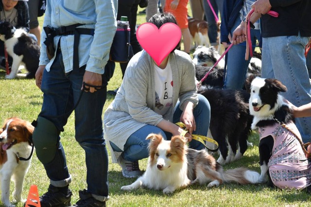 f:id:gussan-belle:20190512095114j:image f:id:gussan-belle:20190512095114j:image