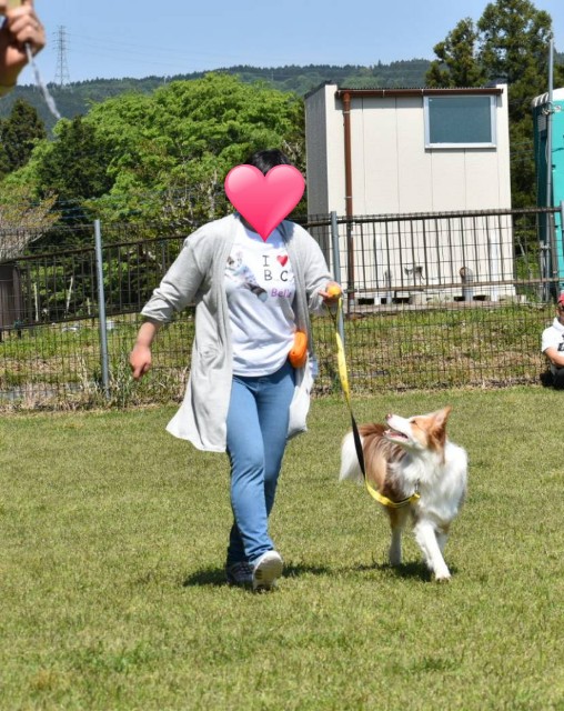 f:id:gussan-belle:20190512095208j:image f:id:gussan-belle:20190512095208j:image