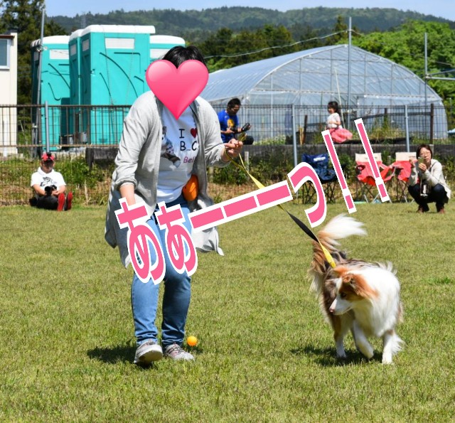 f:id:gussan-belle:20190512095222j:image f:id:gussan-belle:20190512095222j:image