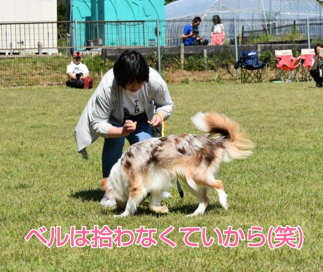 f:id:gussan-belle:20190512095233j:image f:id:gussan-belle:20190512095233j:image