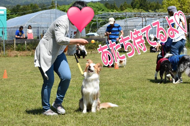 f:id:gussan-belle:20190512095245j:image f:id:gussan-belle:20190512095245j:image