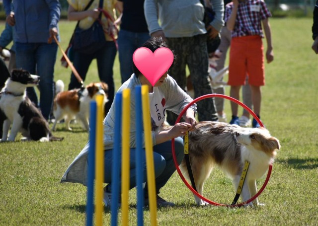 f:id:gussan-belle:20190512095315j:image f:id:gussan-belle:20190512095315j:image