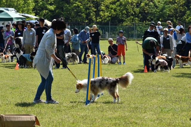 f:id:gussan-belle:20190512095337j:image f:id:gussan-belle:20190512095337j:image