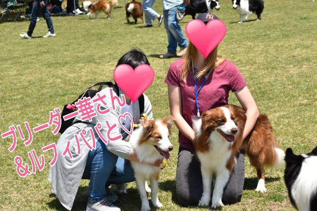 f:id:gussan-belle:20190512095436j:image f:id:gussan-belle:20190512095436j:image