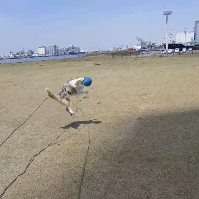f:id:gussan-belle:20190514155417j:image