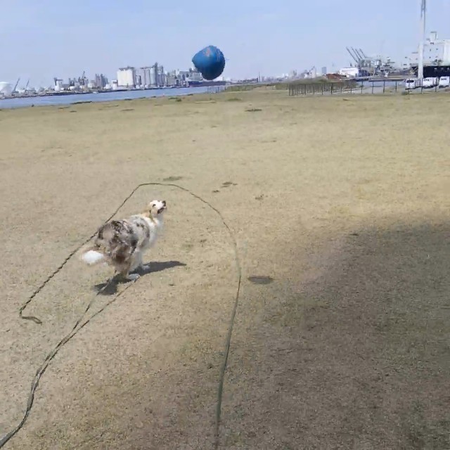 f:id:gussan-belle:20190514155559j:image