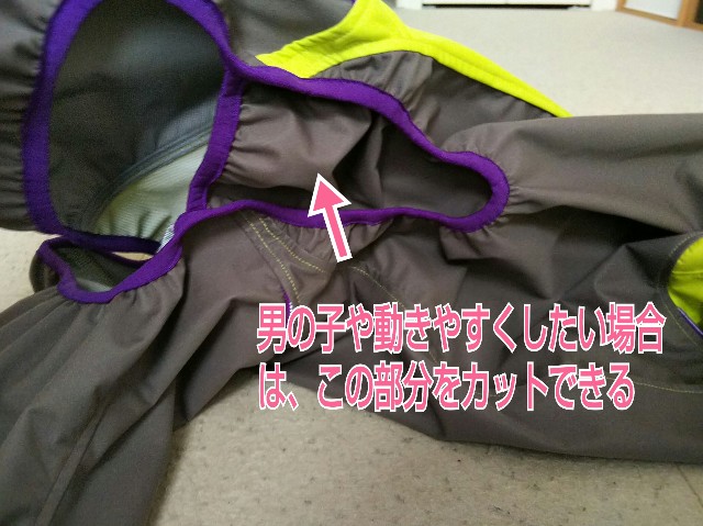 f:id:gussan-belle:20190611083159j:image