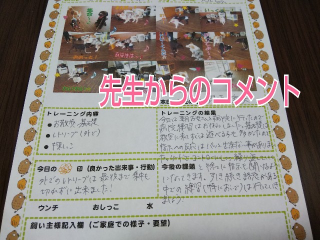 f:id:gussan-belle:20190612215240j:image