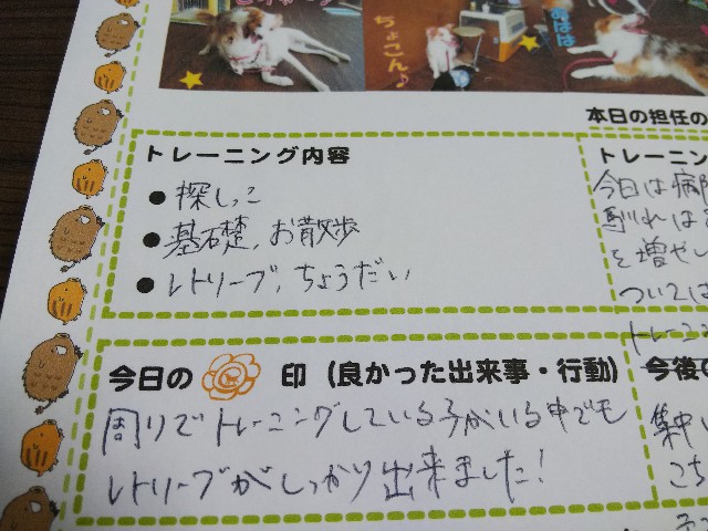 f:id:gussan-belle:20190615081727j:image