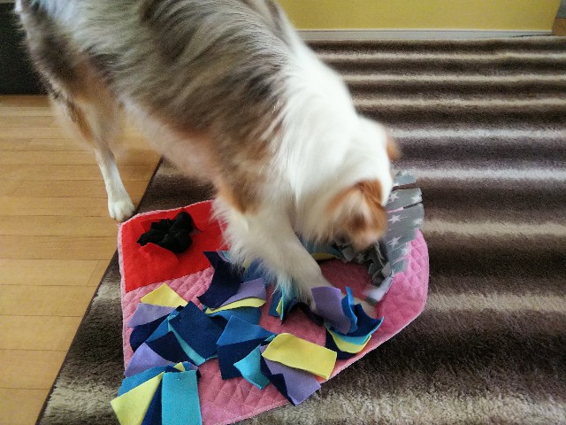 f:id:gussan-belle:20190618072834j:image