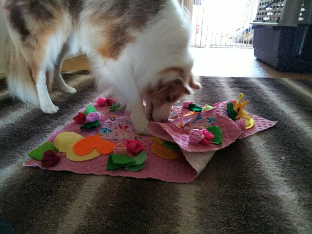 f:id:gussan-belle:20190618072912j:image