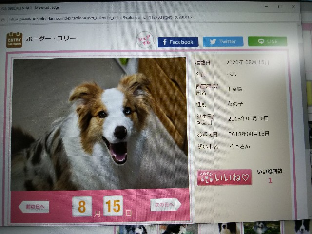 f:id:gussan-belle:20190623102008j:image