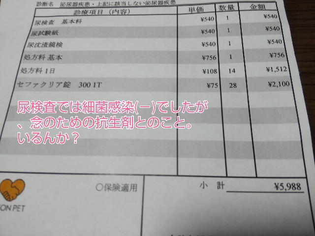 f:id:gussan-belle:20190710090536j:image