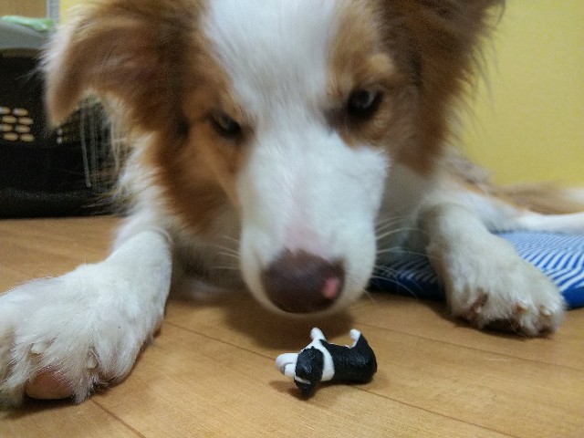 f:id:gussan-belle:20190728075536j:image
