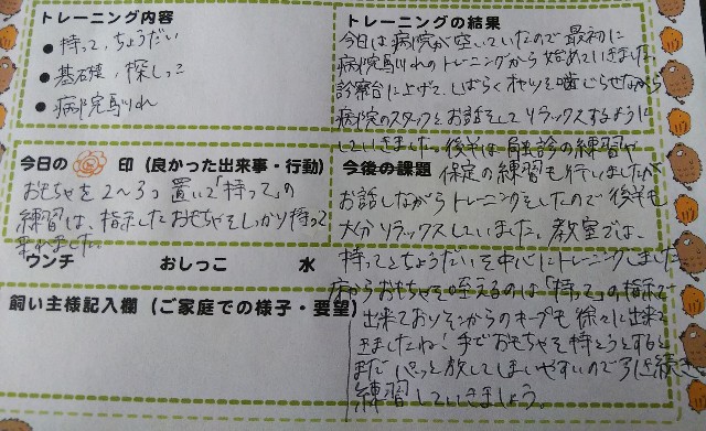f:id:gussan-belle:20190801091818j:image