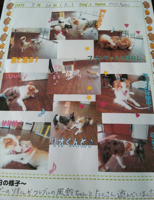 f:id:gussan-belle:20190801092127j:image