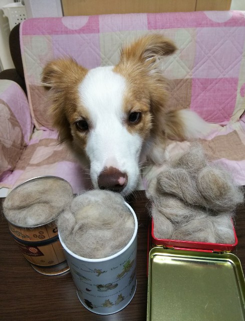 f:id:gussan-belle:20190802080913j:image
