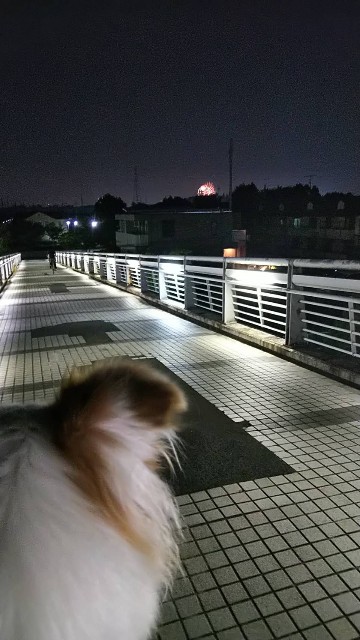 f:id:gussan-belle:20190818094548j:image f:id:gussan-belle:20190818094548j:image