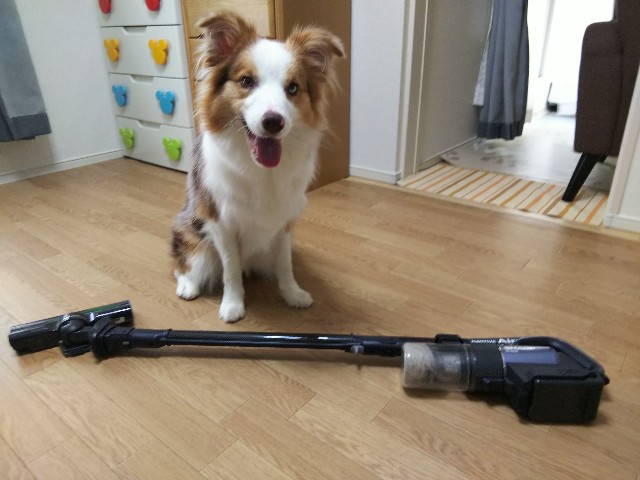 f:id:gussan-belle:20190828081546j:image f:id:gussan-belle:20190828081546j:image