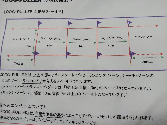 f:id:gussan-belle:20191007083931j:image