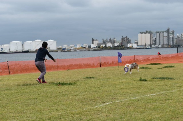 f:id:gussan-belle:20191007083959j:image