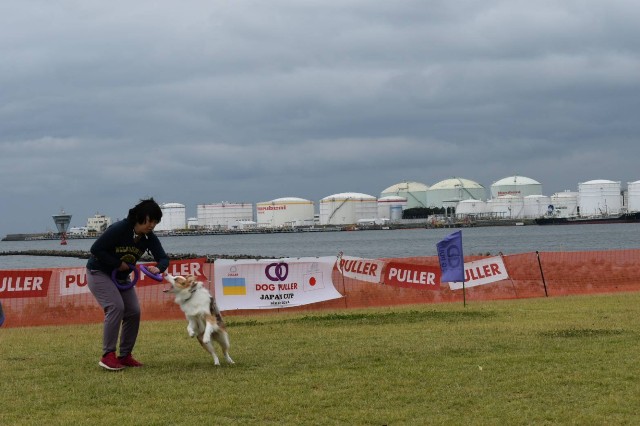 f:id:gussan-belle:20191007084032j:image