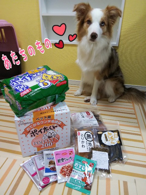 f:id:gussan-belle:20191014073200j:image